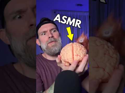 ASMR this is YOUR Brain on Tingles 🧠