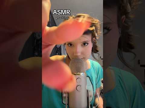 𑣲ASMR || plucking