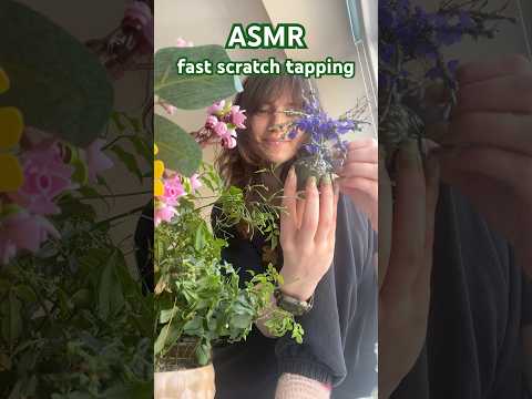 ASMR ~ Fast Scratch Tapping (ft. book, coaster, glass taps & more!) #asmrvideo  #asmr #asmrsounds