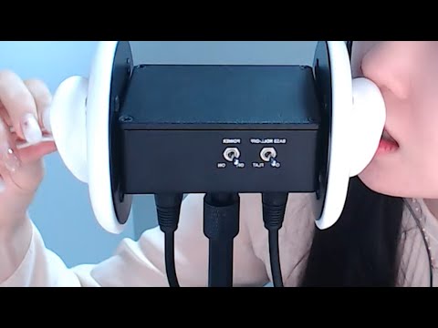 ASMR 당신을 잠들게 할 약올림과 집게사장도 울고 갈 집게 소리ㅣ노토킹