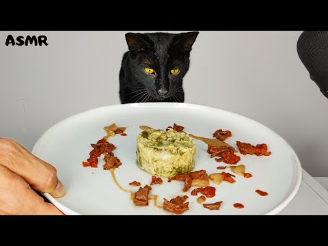 Cat eating Different Wet Foods ASMR