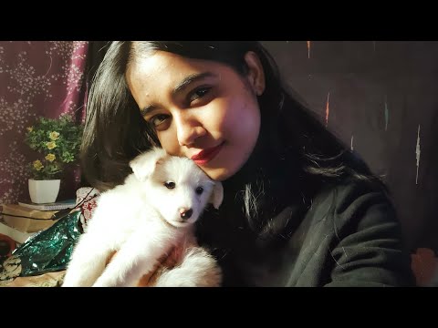 HINDI ASMR - RAMBLING ABOUT PREVIOUS YEAR AND NEW YEAR'S RESOLUTION (My New Pet 🐕)