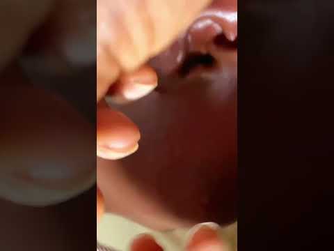 Asmr ear cleaning on a real person bubblegum whispering #asmr #whispering #bubblegum #earcleaning