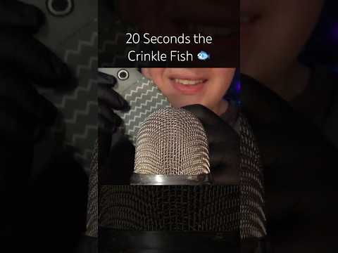20 Seconds the Crinkle Fish! 🐟 #asmr