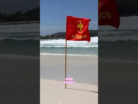 11 de outubro de 2025