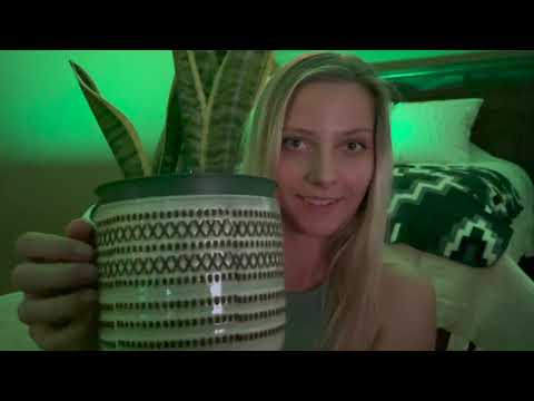 ASMR | ✨Dusting my PLANTS 🪴 ❤️ [ NO TALKING ] Brush, tap, sweep,