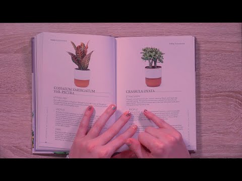 ASMR Page Flipping and Smoothing, Whispering