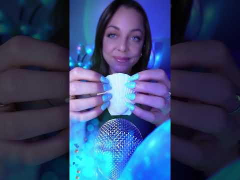 Seashell ASMR 🫠💙💤 #asmr #asmrsounds #asmrvideo #livestream