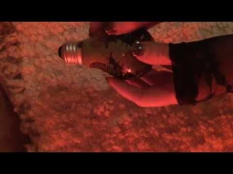 Tapping  and scratching on a painted light bulb {{ ASMR }}