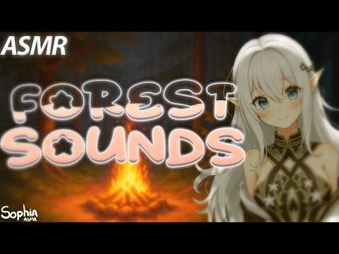 ASMR in the Forest🌙🔥 Crackling Fire & Nature Sounds