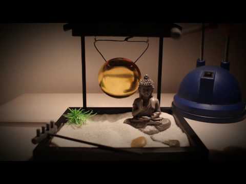 Mini jardin zen [ ASMR français ]
