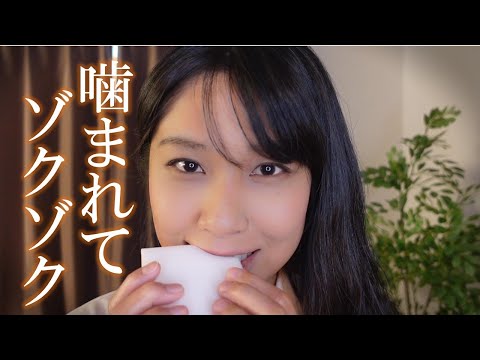 ASMR 嚙む音で新たなゾクゾクを再び発見⁉【声なし No Talking】