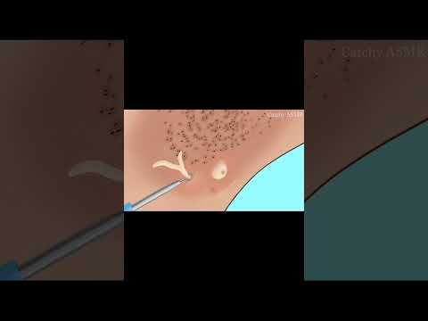 #asmranimation #asmrvideo #2danimation #stopmotionanimation
