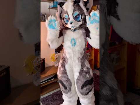 Meow Meow :3 #furry #fursuit
