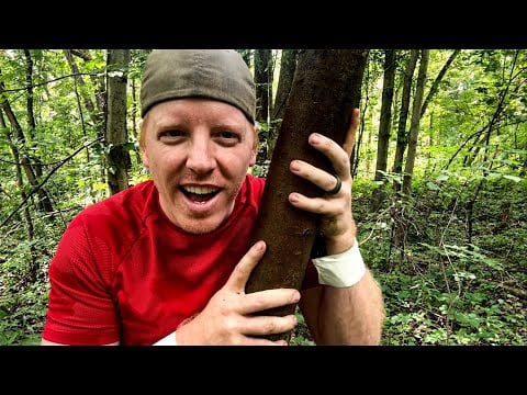 ASMR Tree Massage That Gets Deeper and Deeper into the Woods