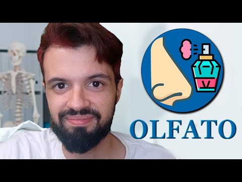 Roleplay Examen de nervios craneales -- OLFATO -- | ASMR ESPAÑOL