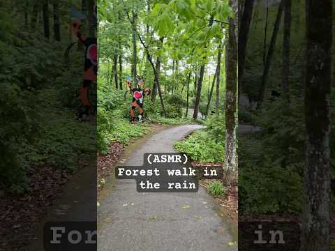 Come walk with me in the rain #asmr #relax #rainsounds
