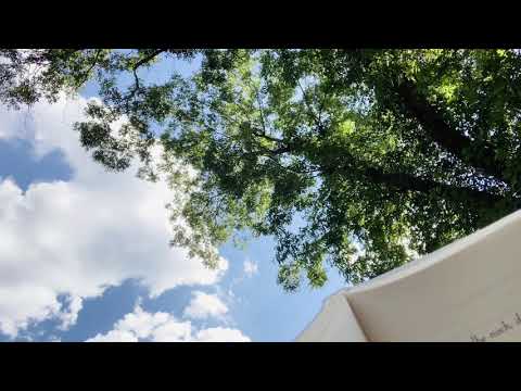 whispering Rilke’s “love poems to god” to you while you stare at the sky on a summer day ~ ASMR