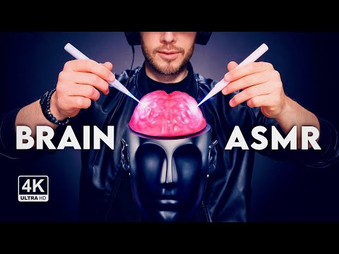 ASMR 8D Brain Tingles! 🧠  Plus Ear Massage, Gentle Triggers and More - Sleep. Tingle. Relax. (4K)