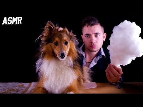 ASMR : JE COIFFE MON CHIEN