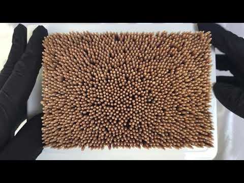 LATEX GLOVES  🖤  STIX  &  GLOVES 👉  W...WO...WOO......WOOD.......   [[ASMR]]