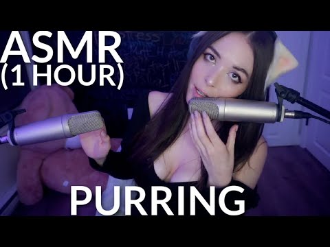 ASMR Amazing Purring To Help You Relax (1 hour)