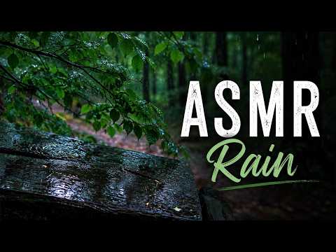 🌧️ ASMR Rain Sounds in the Forest 🌿 | Real Nature Sounds for Sleep, Relaxation & Deep Focus