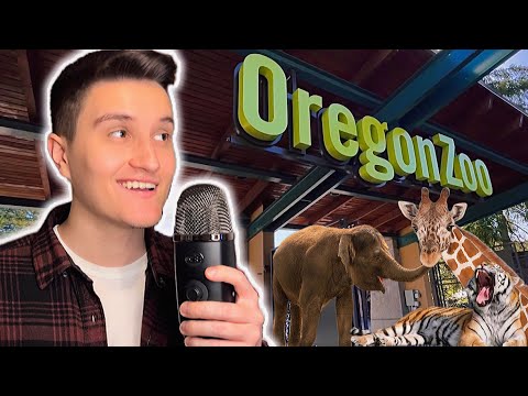 ASMR at The Zoo 🦁💤 (asmr in public)