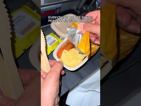 EVERYTHING WE ATE ON THE AIRPLANE #shorts #viral #mukbang