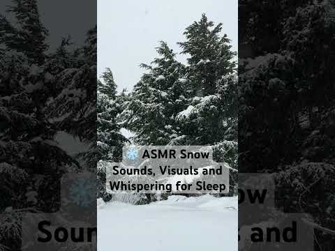 ❄️ ASMR Snow Sounds, Visuals and Whispering for Sleep and Relaxation