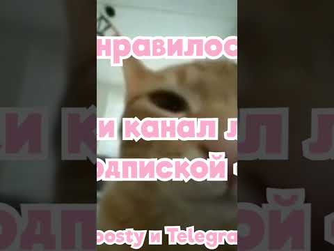 Асмр я тупой #3dio #asmr #earcleaning #anime #closewhisper #аниме