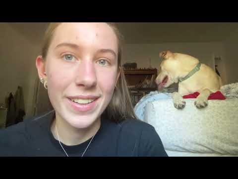 ASMR But my Dogs Derail the Whole Video