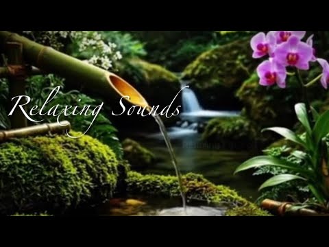 Relaxing Water Fountain Sounds Soothing Nature Music Spring Ambience Cozy Relaxation