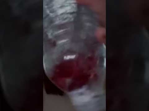 random ASMR. sensory bottle tingles