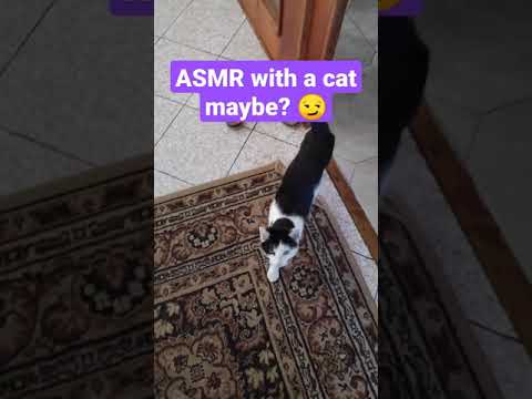 My cat doing flip.