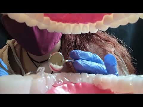 ASMR - Cleaning Your Giant Mouth - Dentist Visit - Soft Spoken