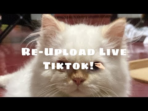 Livestream Tiktok for Sleep🥱😴💤