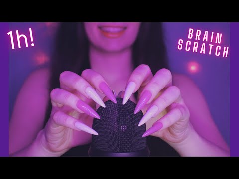 Asmr Mic Scratching - Brain Scratching | Brain Melting Asmr No Talking for Sleep with Long Nails 1H