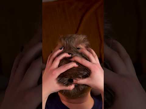 SCALP CHECK #asmr 🔎 (Extreme Close-Up)