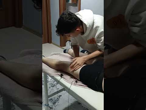 MASSAGE THAT RELAXES THE NERVES IN THE FORE LEGS #satisfying #relaxing #asmr #shorts #massage