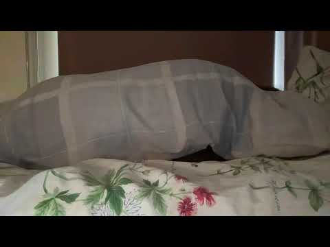 ASMR sleeping snoring girl
