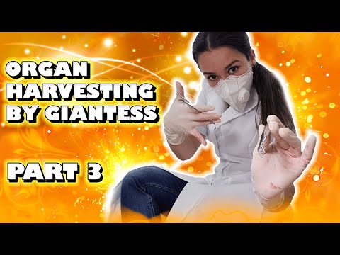 ASMR ROLEPLAY, GIANTESS ASMR, ASMR GIRLFRIEND, ASMR KIDNAP, ASMR DOCTOR, DANGEROUS ASMR, ASMR GLOVES