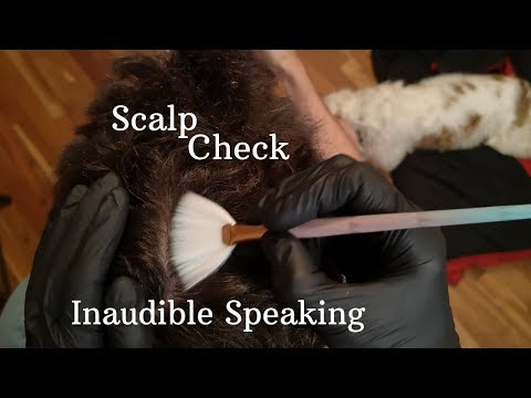 ASMR Real Person Scalp Check / Scalp Inspection and Inaudible Speaking