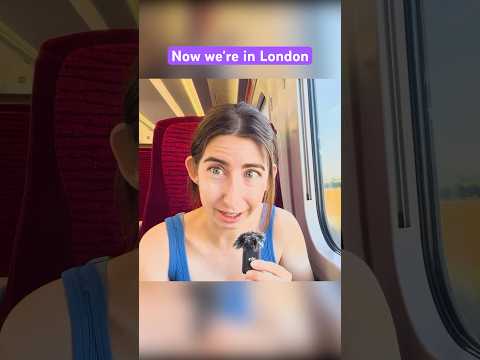 I went to London - ASMR on a Train Part 2 #whisper