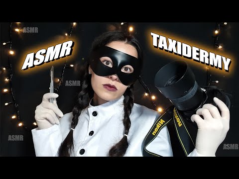 ASMR 💀 ASMR WEDNESDAY 💀 ASMR ROLEPLAY, ASMR KIDNAP, ASMR GLOVES, ASMR NURSE, ASMR GIRLFRIEND, HORROR