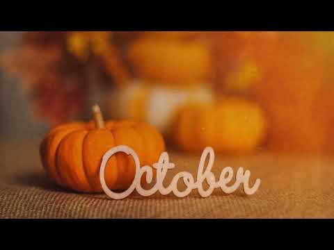 ASMR | Life Update & Soft Spoken Ramble