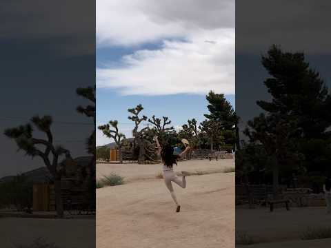 Joshua Tree #travel #ForYou #TrendingNow #InstaReels #ViralVideo #DailyShorts #new  #FYP
