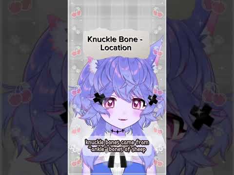 Knuckle Bone: What’s a Sheep Ankle?