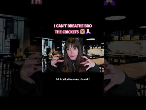 ASMR | The Restaurant Hostess That Does NOT Get Paid Enough to Care.. ─♡─ #asmrroleplay #comedyasmr