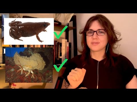 new popular girls unlocked (ASMR with music)